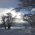 In Near Wolfsklamm River アパート *