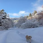 In Near Wolfsklamm River * シュタンス