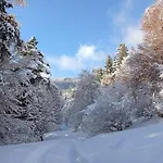 In Near Wolfsklamm River