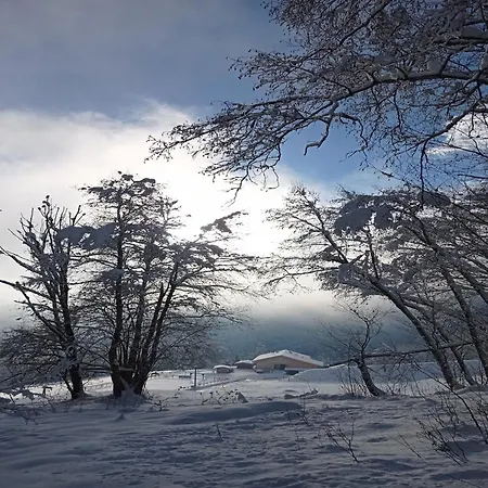 In Near Wolfsklamm River شقة *