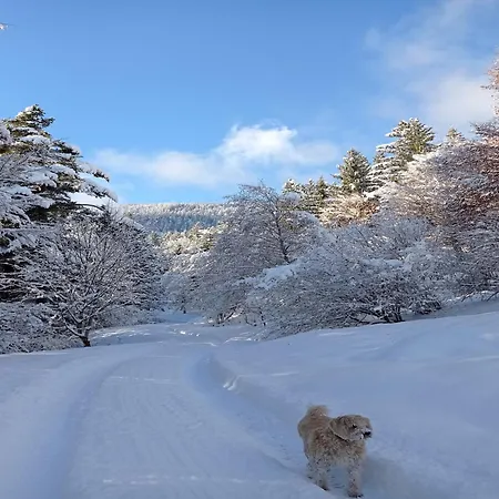 In Near Wolfsklamm River * ستانس