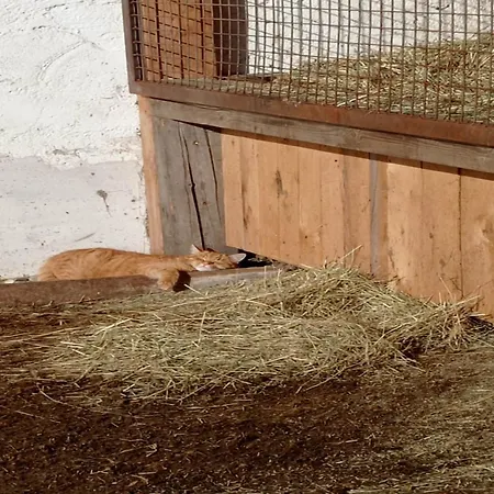 In Near Wolfsklamm River * Stans