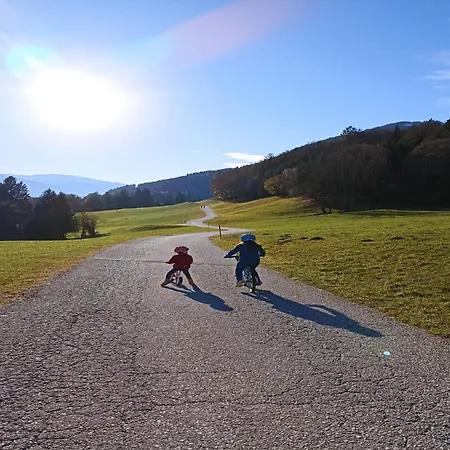 Apartment In Near Wolfsklamm River *