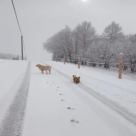 In Near Wolfsklamm River Apartment