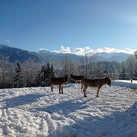 شقة In Near Wolfsklamm River *