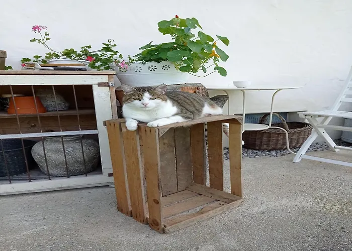 アパート In Near Wolfsklamm River シュタンス