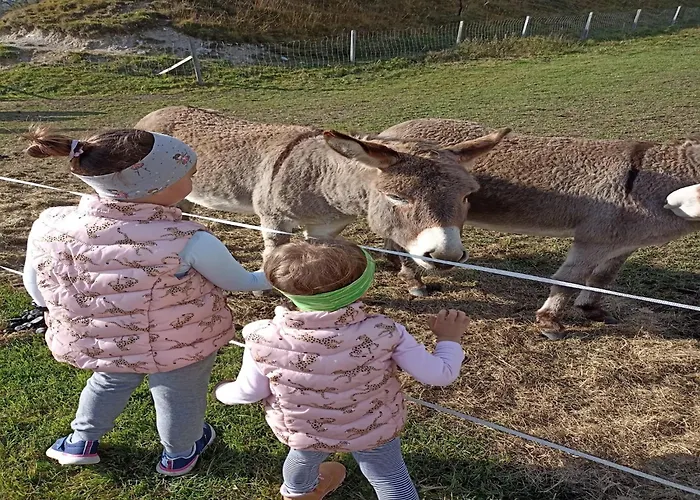 In Near Wolfsklamm River * シュタンス