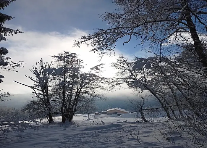 In Near Wolfsklamm River アパート *