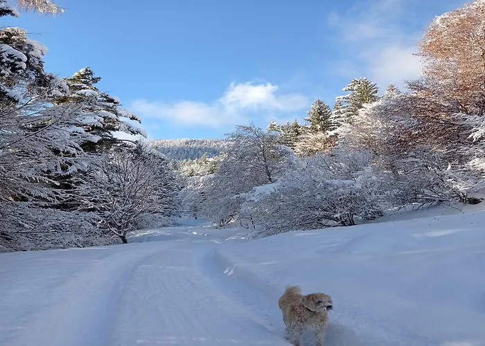 In Near Wolfsklamm River * シュタンス
