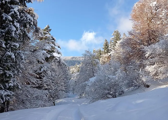 In Near Wolfsklamm River
