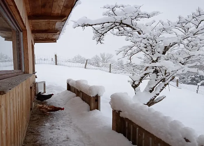 In Near Wolfsklamm River アパート シュタンス