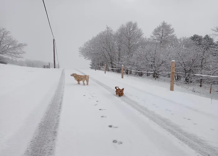In Near Wolfsklamm River アパート