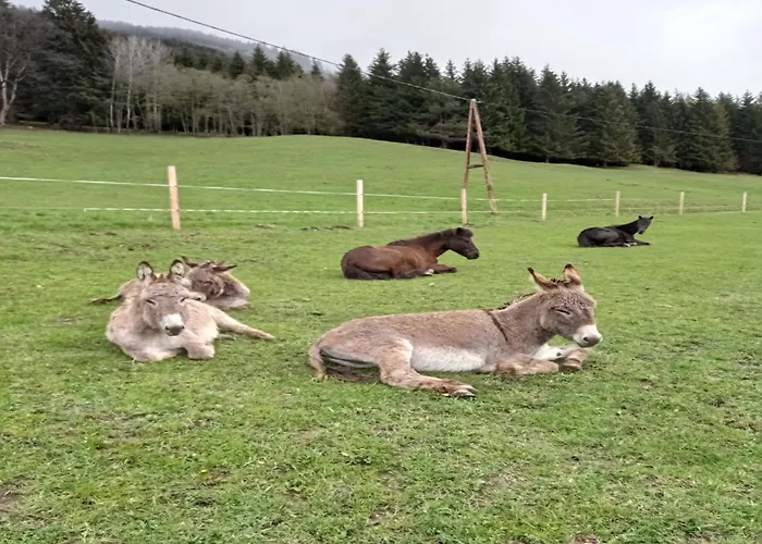 アパート In Near Wolfsklamm River *