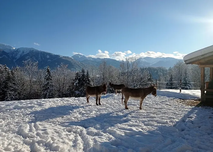 アパート In Near Wolfsklamm River *
