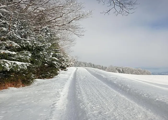 In Near Wolfsklamm River *