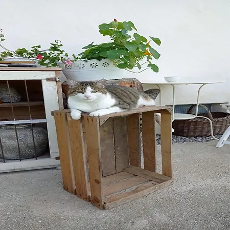 Lägenhet In Near Wolfsklamm River Stans