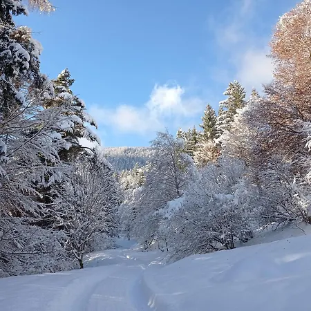 In Near Wolfsklamm River