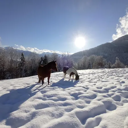 Lägenhet In Near Wolfsklamm River Stans