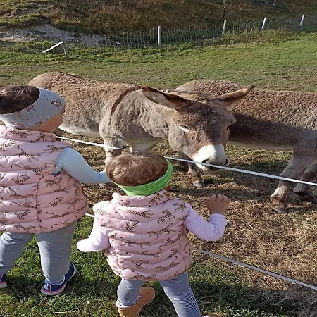 In Near Wolfsklamm River * Stans