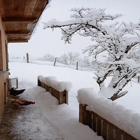 In Near Wolfsklamm River Apartman Stans