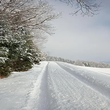 In Near Wolfsklamm River *